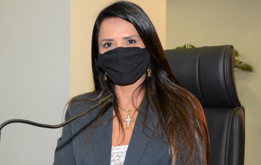 Projetos foram apresentados durante a sessão de quarta-feira, 24.