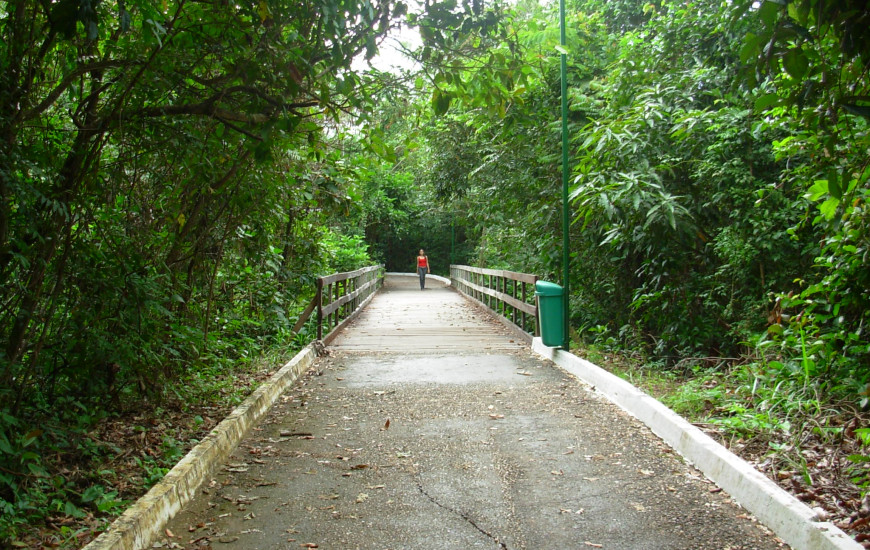 Guarda reforçará ronda na pista de corrida