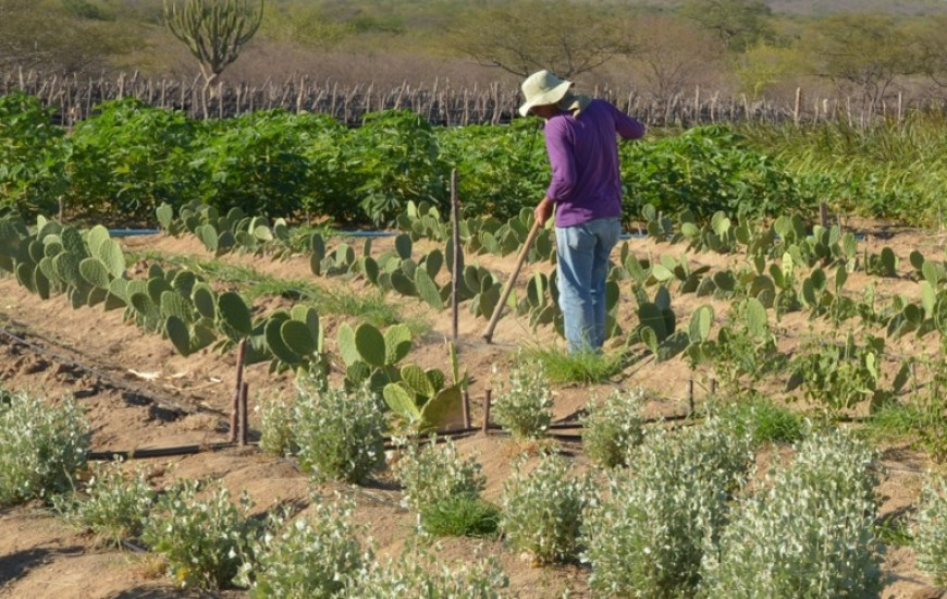 Dívidas podem ser renegociadas