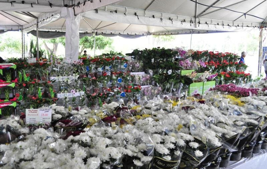 Expoflor