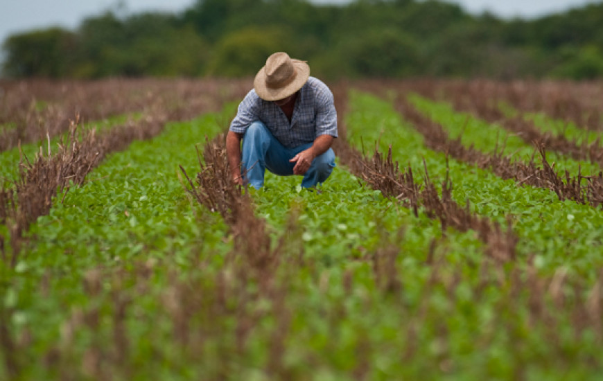 Produtor rural deve realizar pagamento de contribuição rural