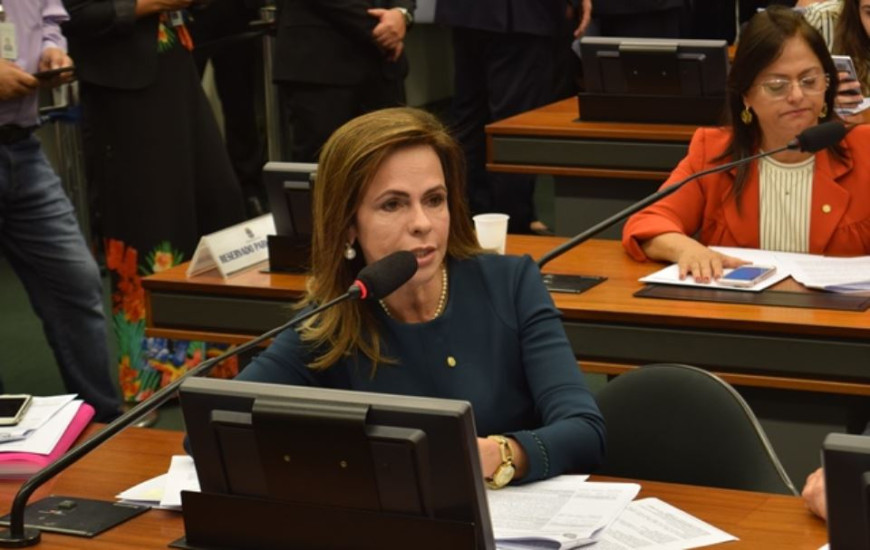 Lei tem origem PL da professora Dorinha, do Tocantins