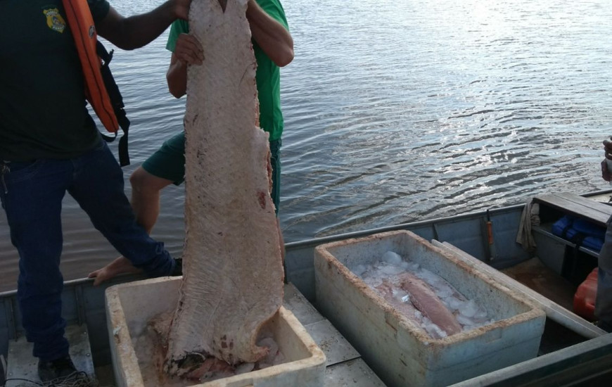 Pescado foi apreendido no Rio Araguaia