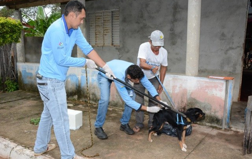 Vacinação antirrábica na zona rural de Araguaína