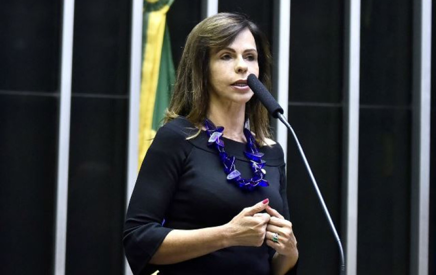Deputada Dorinha na Câmara Federal