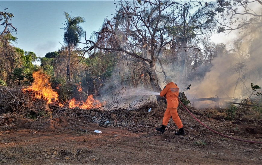 Diversos focos ainda ocorrem na Serra de Taquaruçu