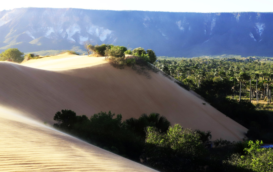 Dunas do Jalapão 