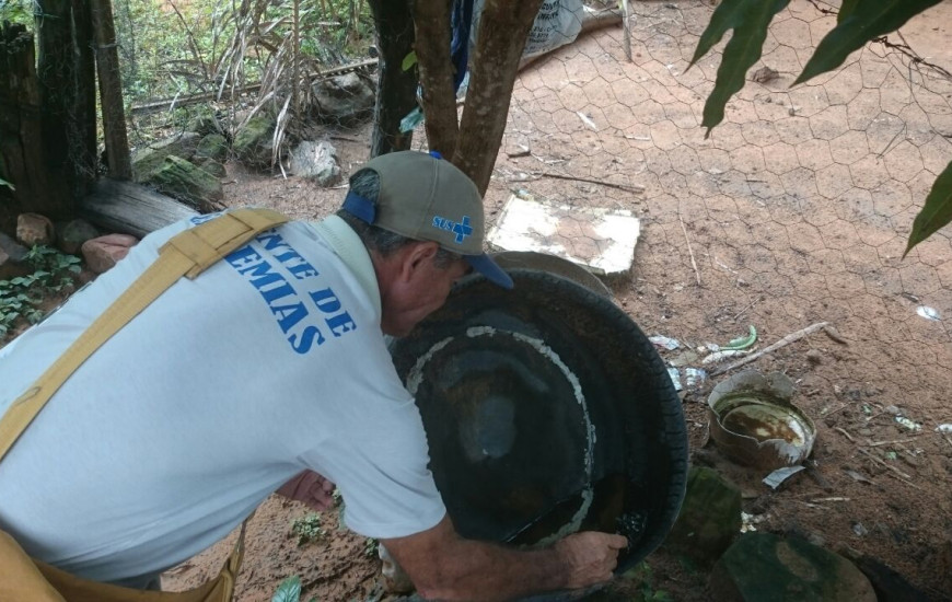 Foto: Divulgação