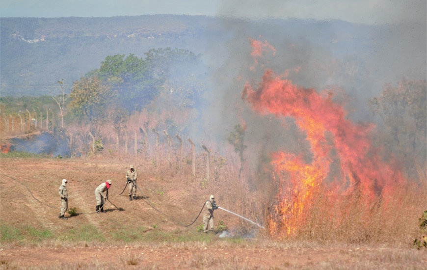 Bombeiros atuam por horas até o controle das chamas na região norte de Palmas