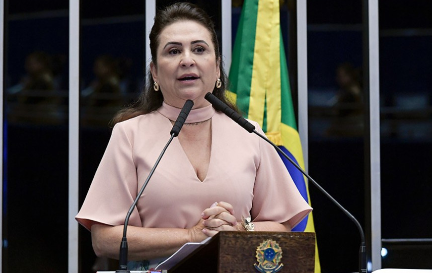 Senadora Kátia Abreu (PP)