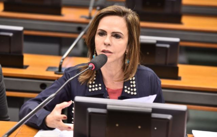 Deputada federal Professora Dorinha
