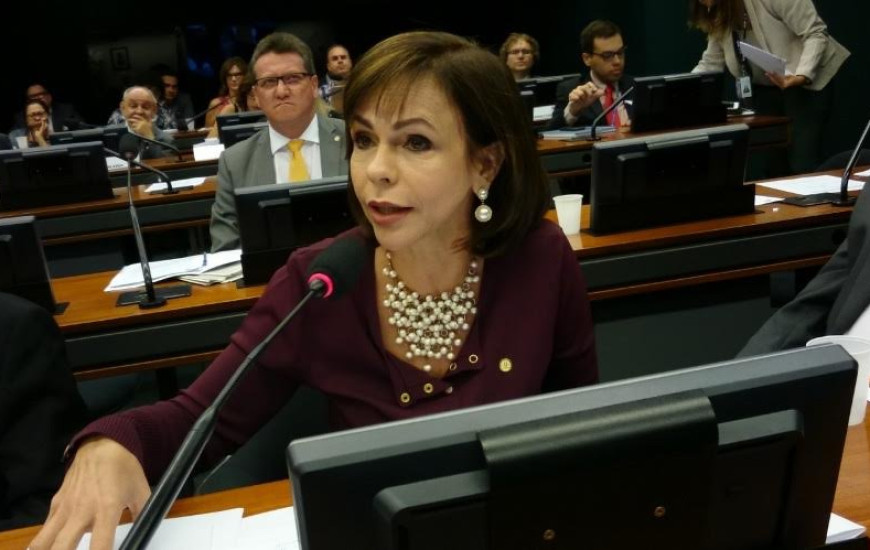 Deputada Professora Dorinha