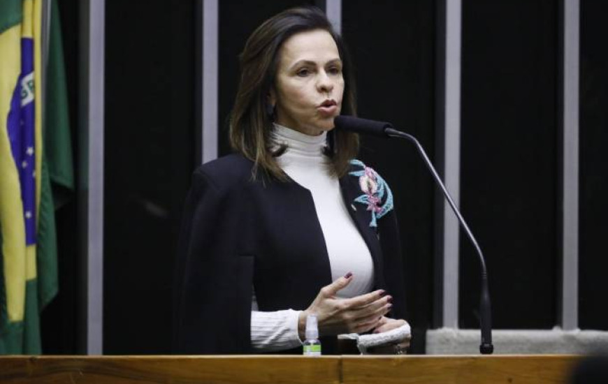Deputada federal Professora Dorinha (DEM).