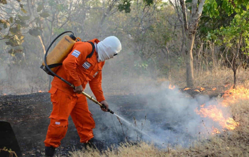 Incêndios são comuns na Capital no período da estiagem