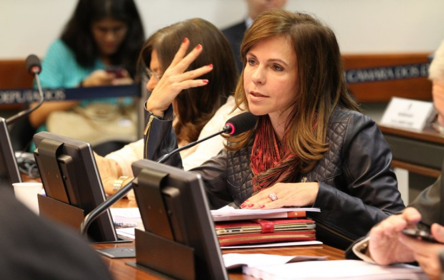 Deputada Professora Dorinha