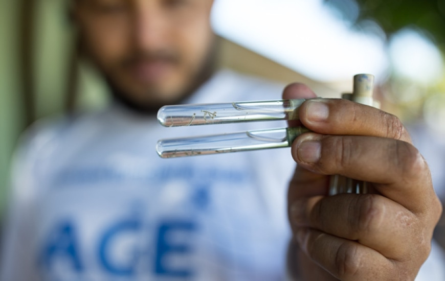Combate ao Aedes deve continuar mesmo com redução de casos