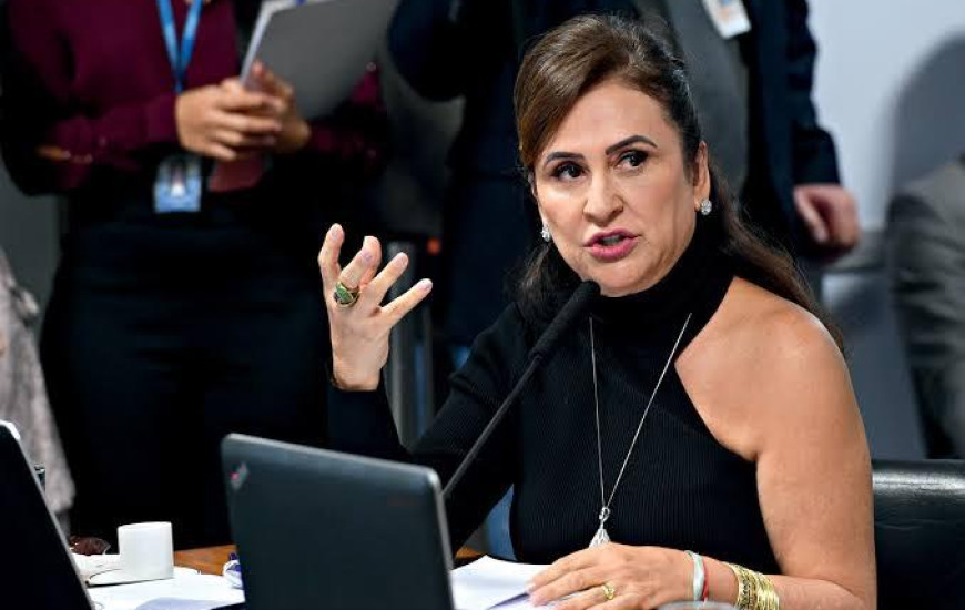 Senadora Kátia Abreu (PP-TO)