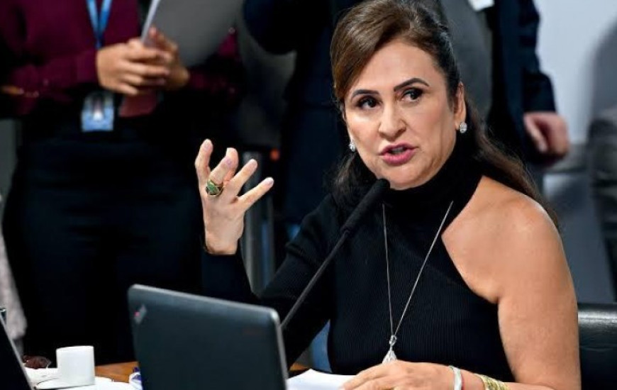 Senadora Kátia Abreu (PP-TO)