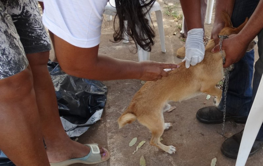 9.881 animais foram vacinados em campanha