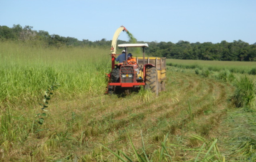 Fazenda Sta Edwirdes em Crixás-TO