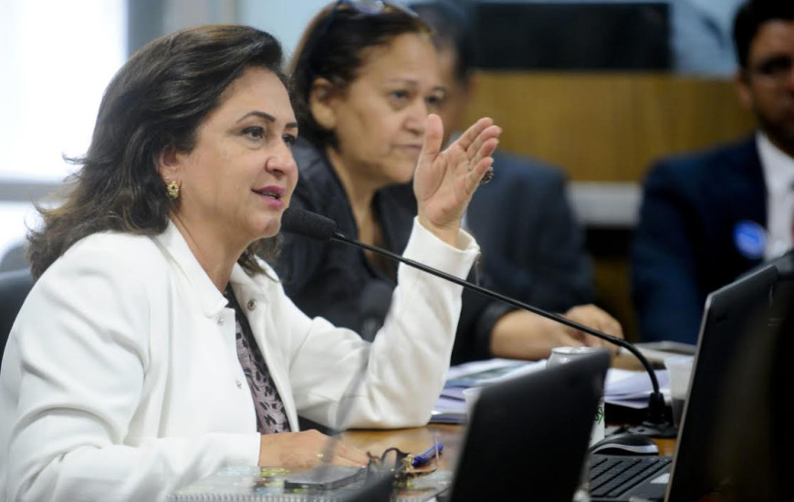 Senadora Kátia Abreu