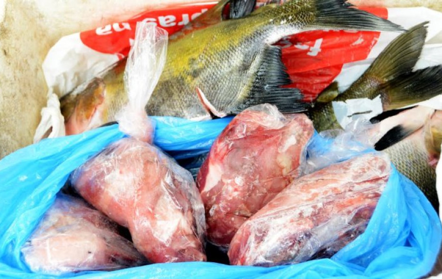 Carnes de animais silvestres são apreendidas