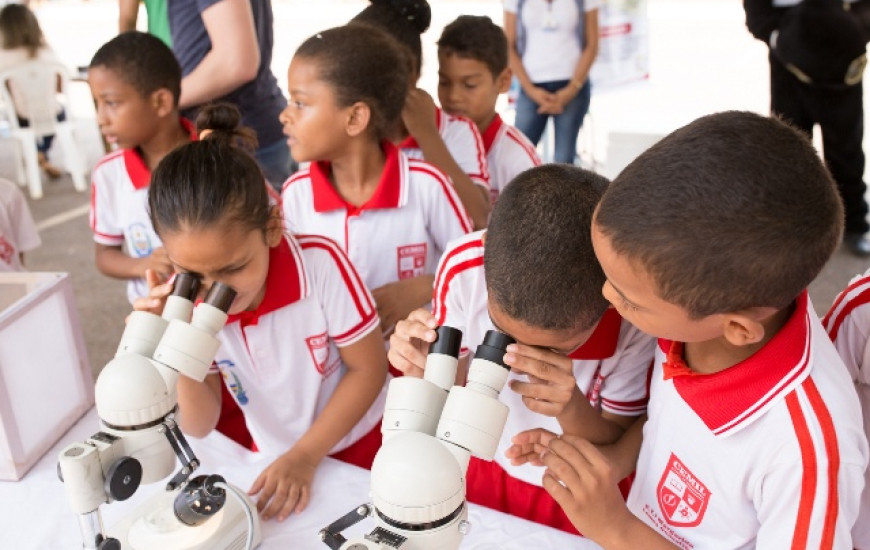 Alunos durante atividades para aprender sobre os criadouros do mosquito