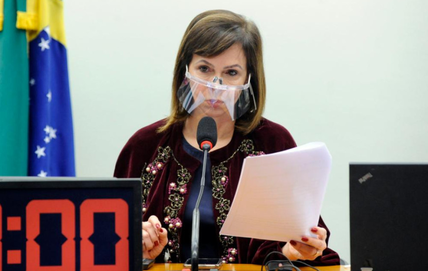 Deputada Federal Professora Dorinha Seabra (DEM-TO).