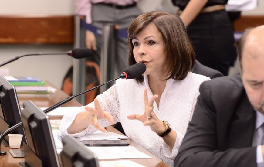 Deputada Professora Dorinha