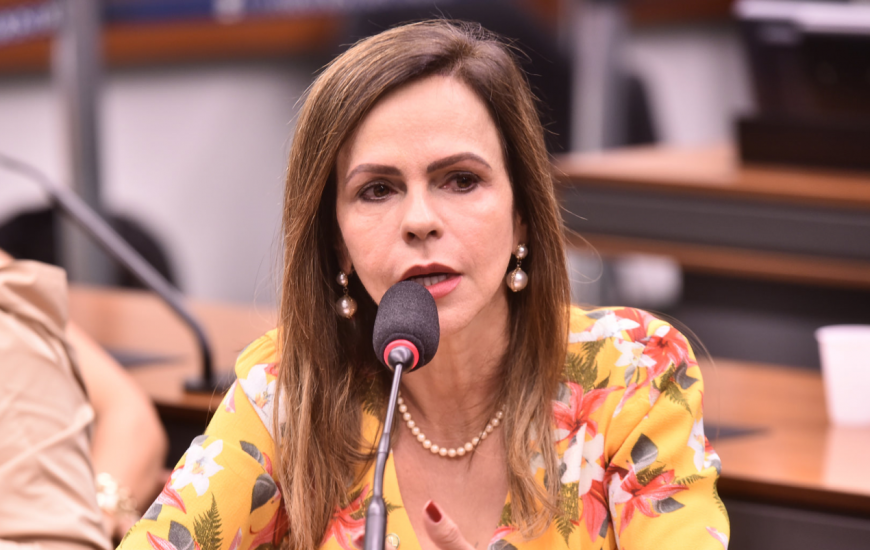 Deputada federal é candidata à reeleição
