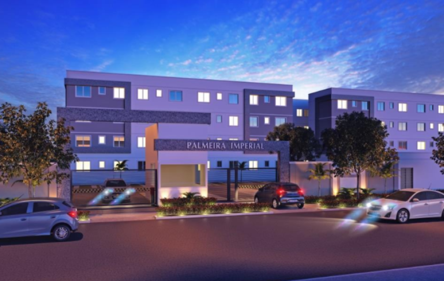 Palmeira Imperial, em Palmas