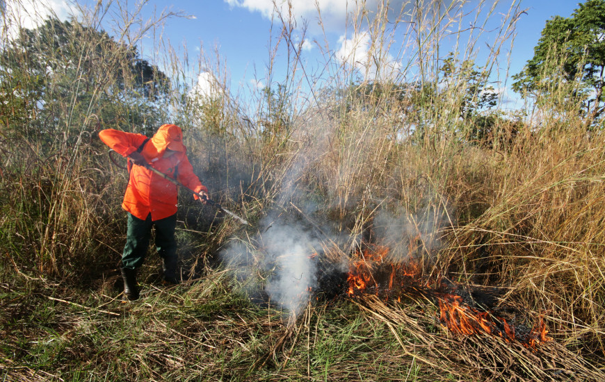 Os candidatos aprovados vão atuar nas Unidades de Conservação do estado 