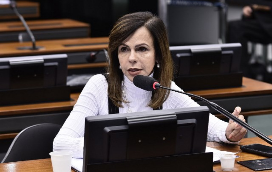 Deputada professora Dorinha já destinou mais de 9 milhões ao TO este ano