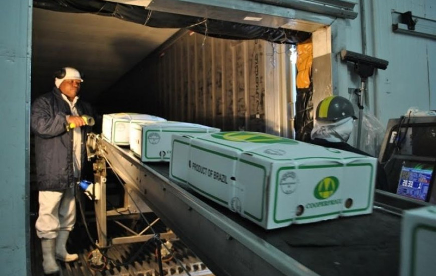 Exportações no Tocantins sofrem queda