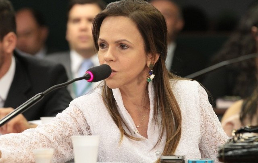 Deputada Dorinha Seabra (DEM)