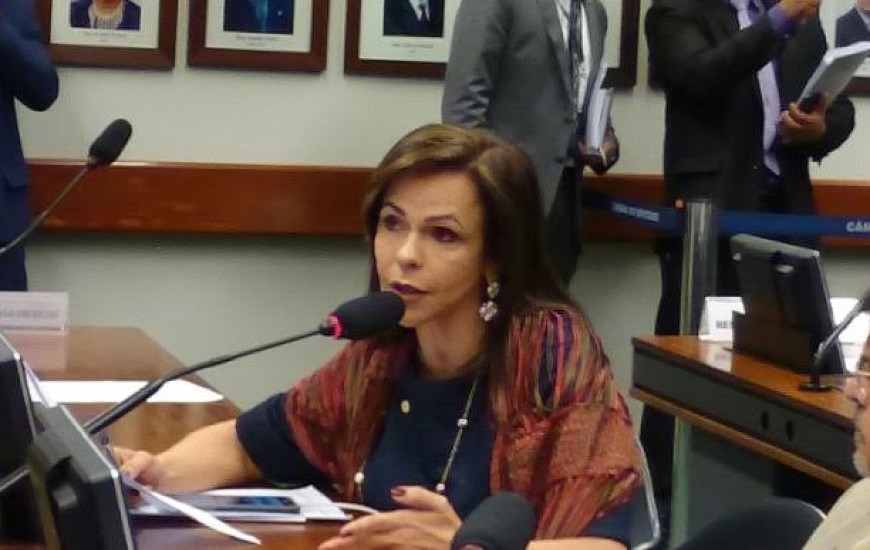 Deputada Professora Dorinha