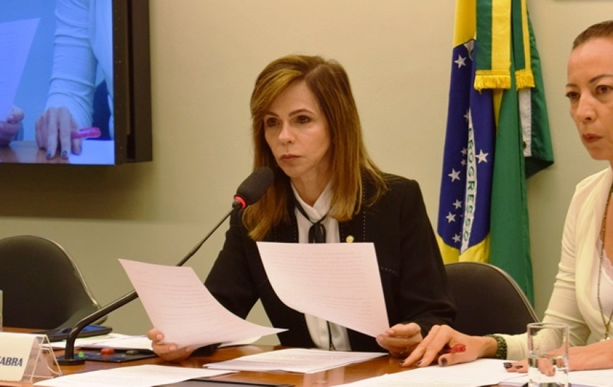 Deputada federal Professora Dorinha
