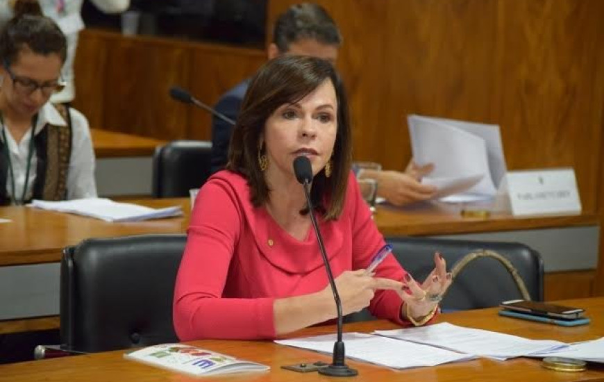 Deputada Professora Dorinha (Democratas/TO)