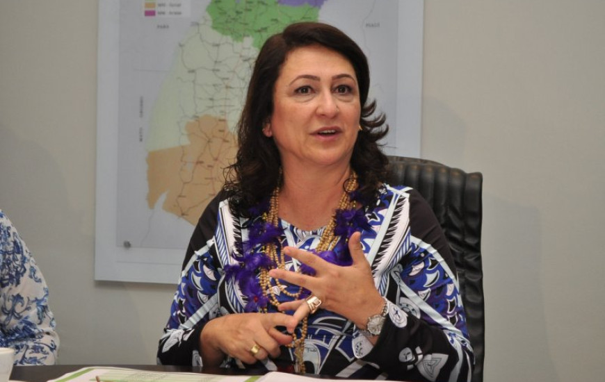 Senadora Kátia Abreu