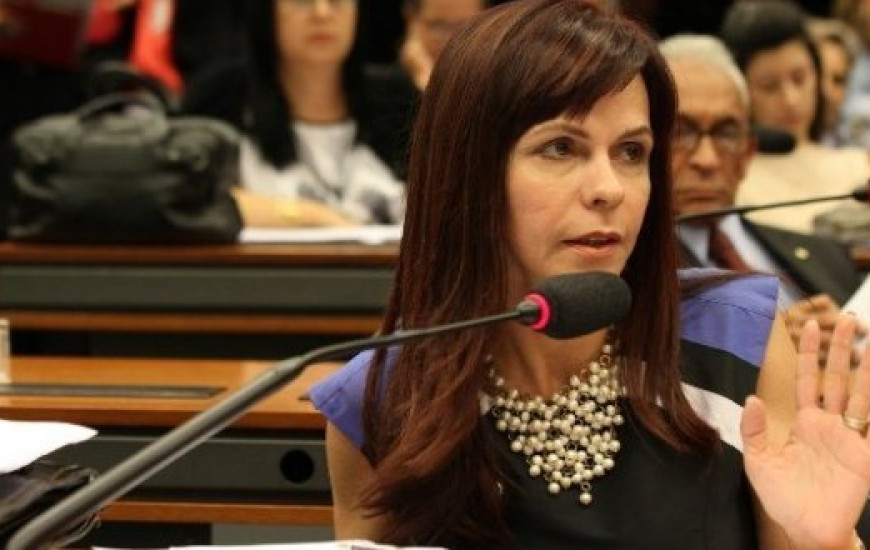 Deputada Dorinha Seabra