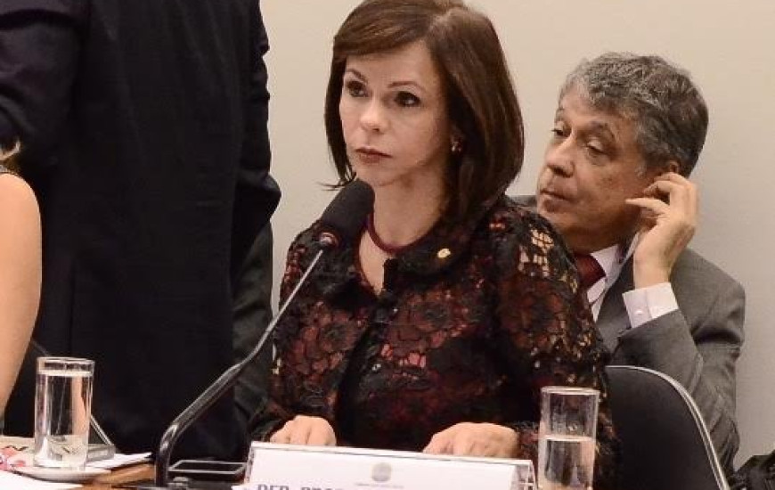 Deputada Professora Dorinha