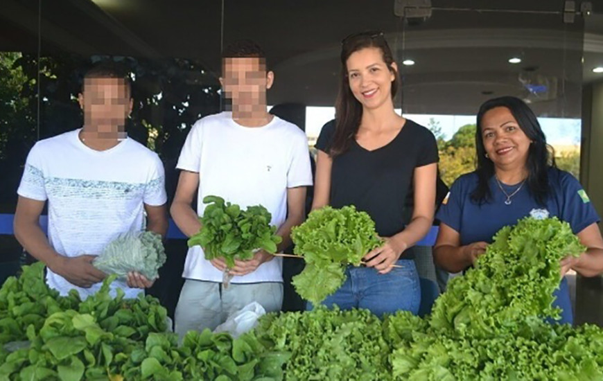 As hortaliças cultivadas são vendidas para servidores do Estado