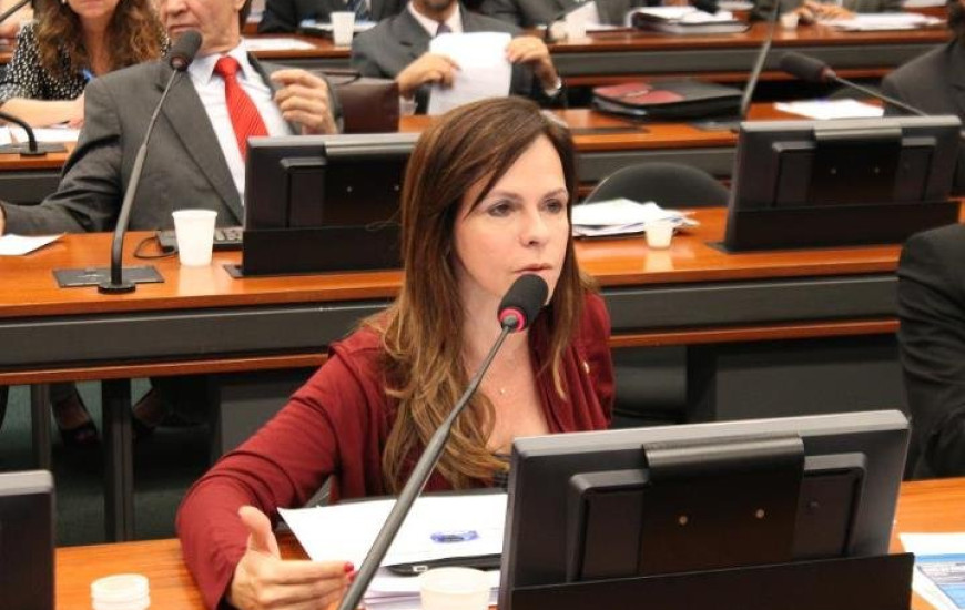 Deputada Professora Dorinha