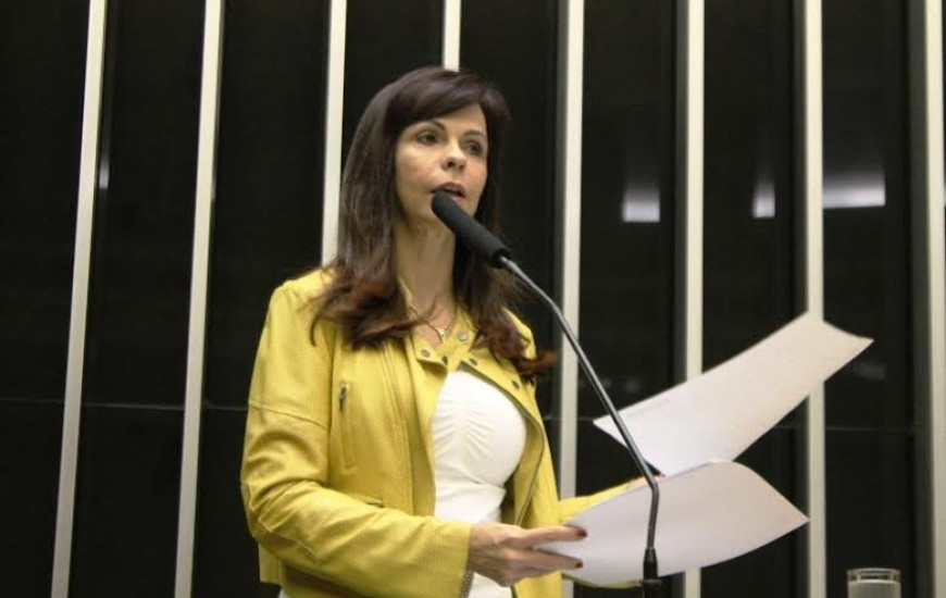 Deputada Professora Dorinha