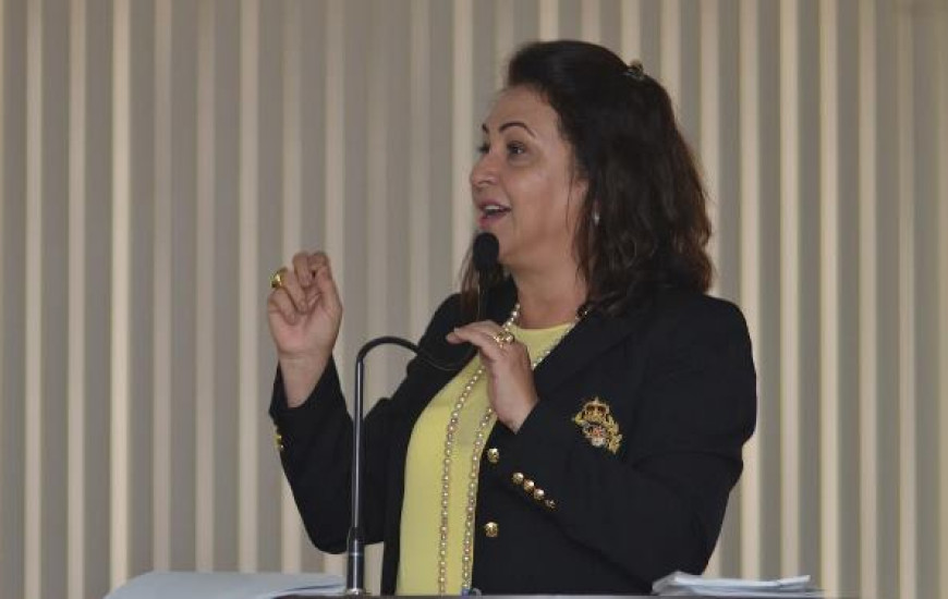Senadora diz que momento para reformas é inoportuno