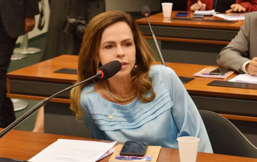 Dorinha defende inclusão no Prouni