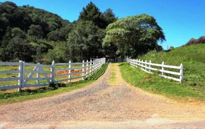 Faet alerta produtores quanto a adesão ao CAR