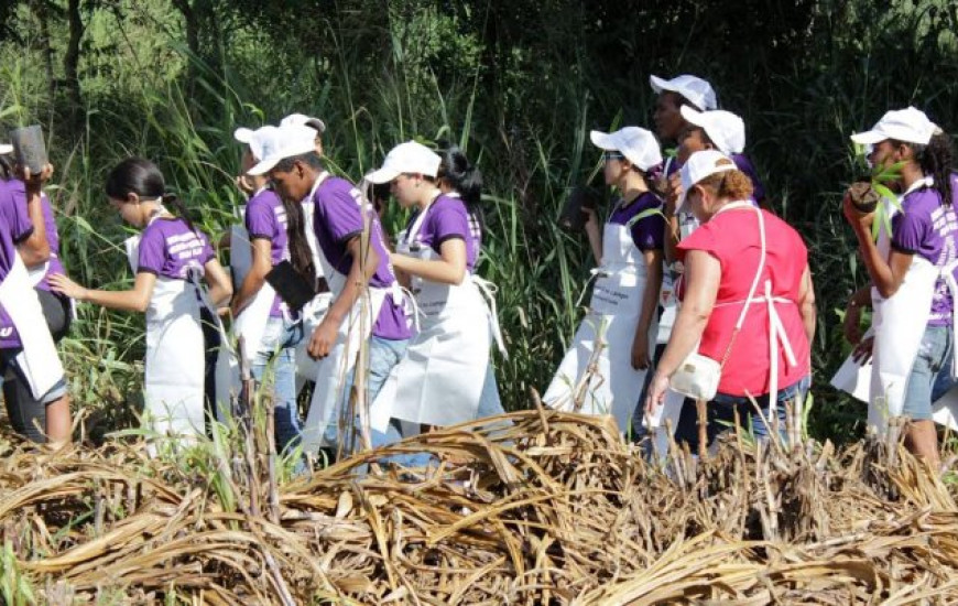 Estudantes tem aula práticia sobre meio ambiente