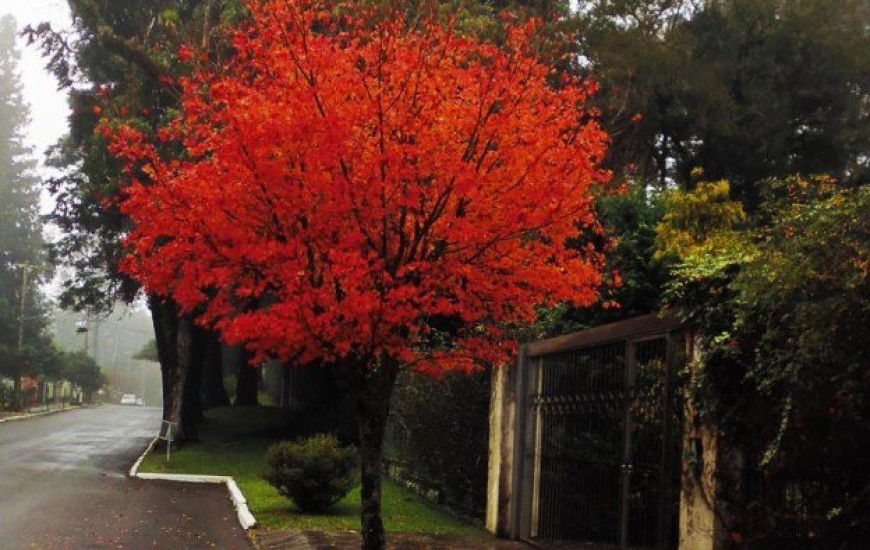 Rota romântica de Gramado atrai turistas