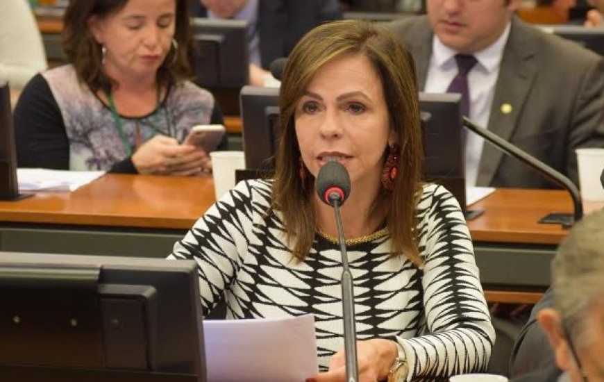 Dorinha apresenta emenda a Projeto de Lei